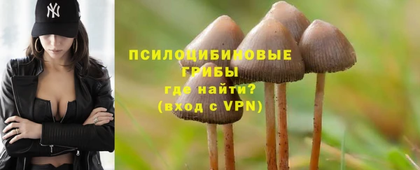 бутират Богородск
