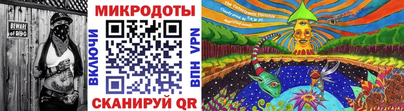 блэк спрут как войти  Красавино  Псилоцибиновые грибы мицелий 